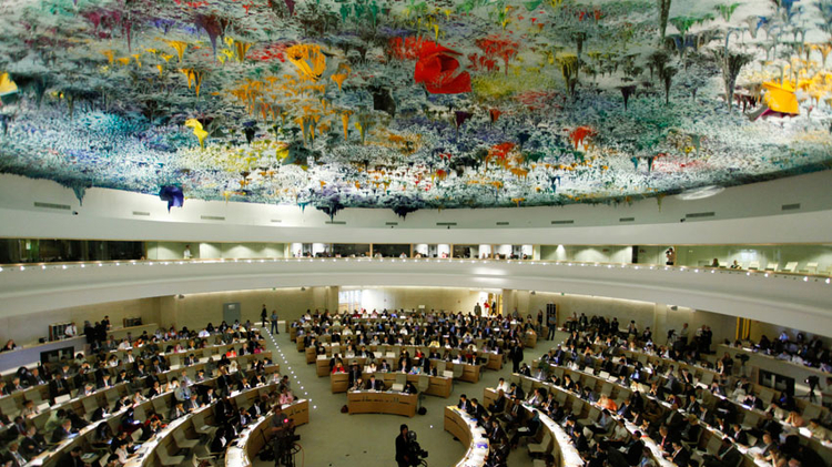 Conseil des droits de l'Homme de l'ONU