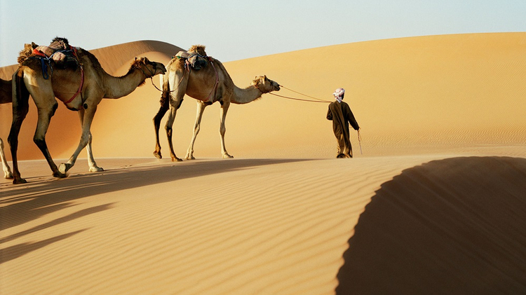 الإمارات تدير ظهرها للصحراء وتؤثر الأجرام بـ 5 مليارات دولار
