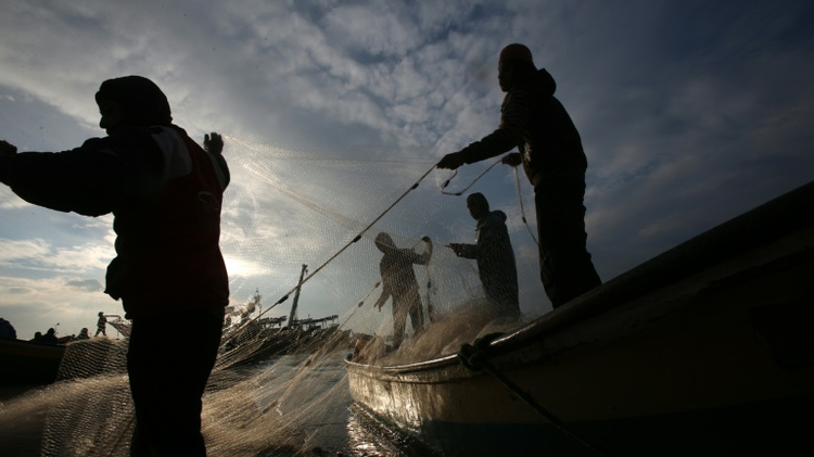 Morocco protesters take to streets again over fishmonger's death