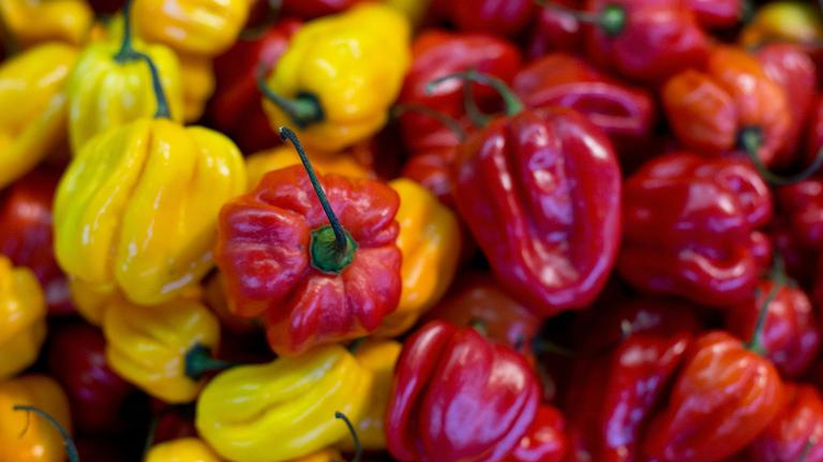 Researchers have advised that idea of five fruits and vegetables a day should be increased to at least seven to cut the risk of death from cancer or heart disease