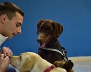 the theory of using animals as agents of socialisation and relaxation dates back to the 18th century ( Giuseppe Cacace (AFP) )