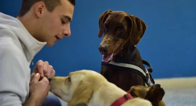 the theory of using animals as agents of socialisation and relaxation dates back to the 18th century ( Giuseppe Cacace (AFP) )