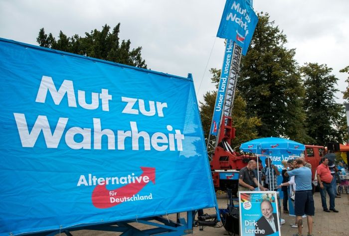 Des militants de l'Afd assistent à un meeting de campagne électorale pour les élections régionales, le 1er septembre 2016 Jens Büttner (dpa/AFP/File)