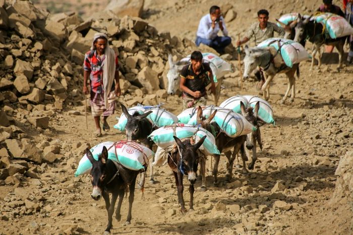 People transport supplies through the mountains along the only path accessible between the southern cities of Aden and Taez on December 26, 2015. AFP PHOTO / AHMAD AL-BASHA