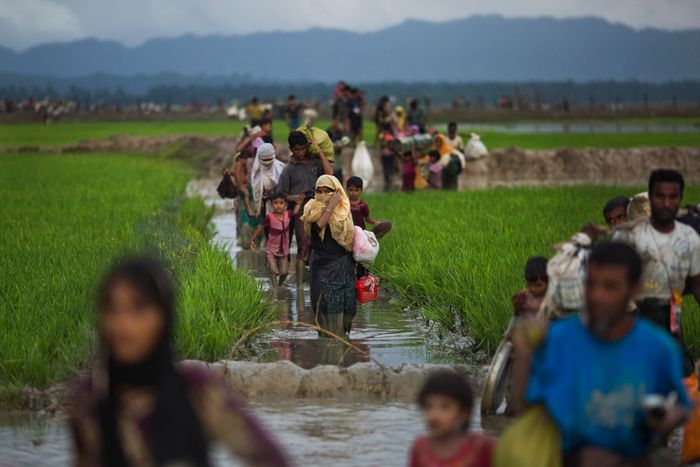 370000 Rohingya refugees flee to Bangladesh