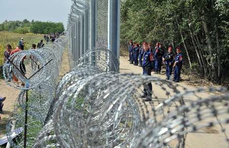 Migrants et réfugiés le 15 septembre 2015 d'un côté de la clôture barbelée  près de Horgos en Serbie,   gardée de l'autre côté par la police hongroise  ( ELVIS BARUKCIC (AFP) )