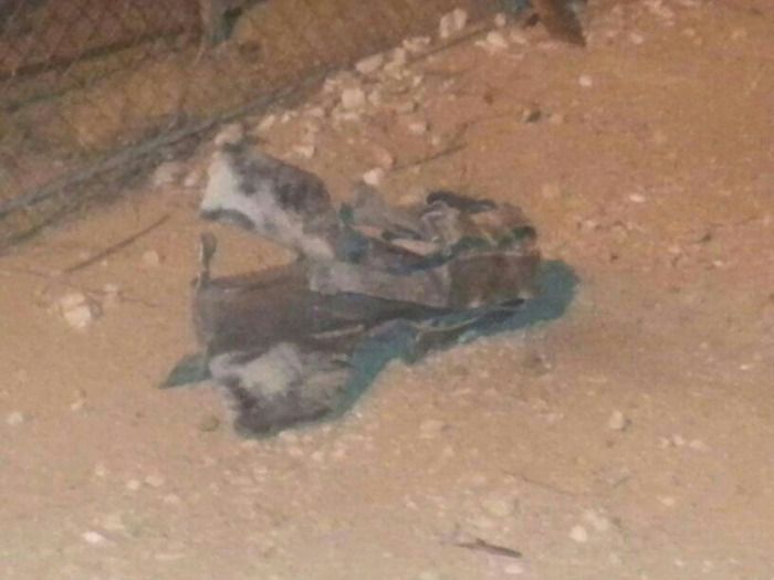 سقوط قذيفة من غزة جنوب إسرائيل دون أضرار