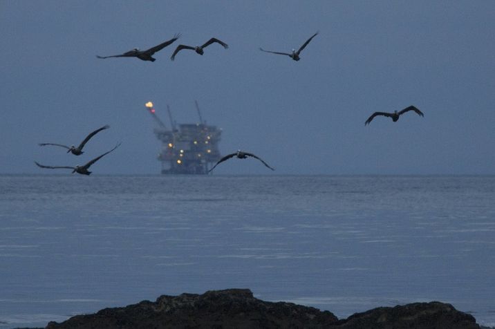 Image result for President Trump Seeks to Open Most U.S. Coastal Waters to Oil Drilling