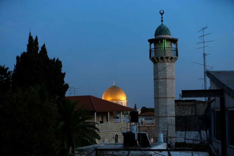 Pro-BDS activist denied entry into Israel