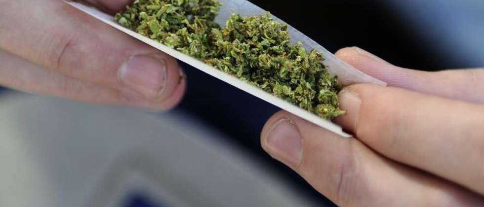 ny rabbis want their marijuana kosher