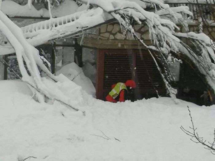 Italian avalanche: hope for survivors after three puppies found