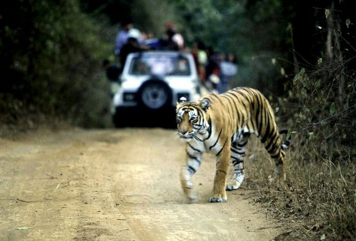 Aditya Singh (AFP/File)