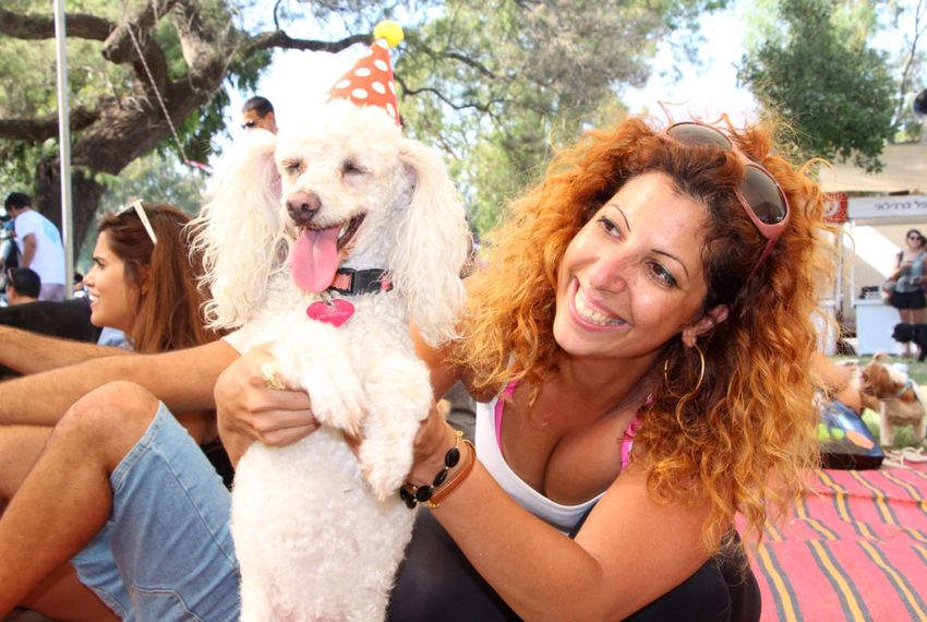 Tel Aviv Goes To The Dogs I24news tel aviv goes to the dogs i24news