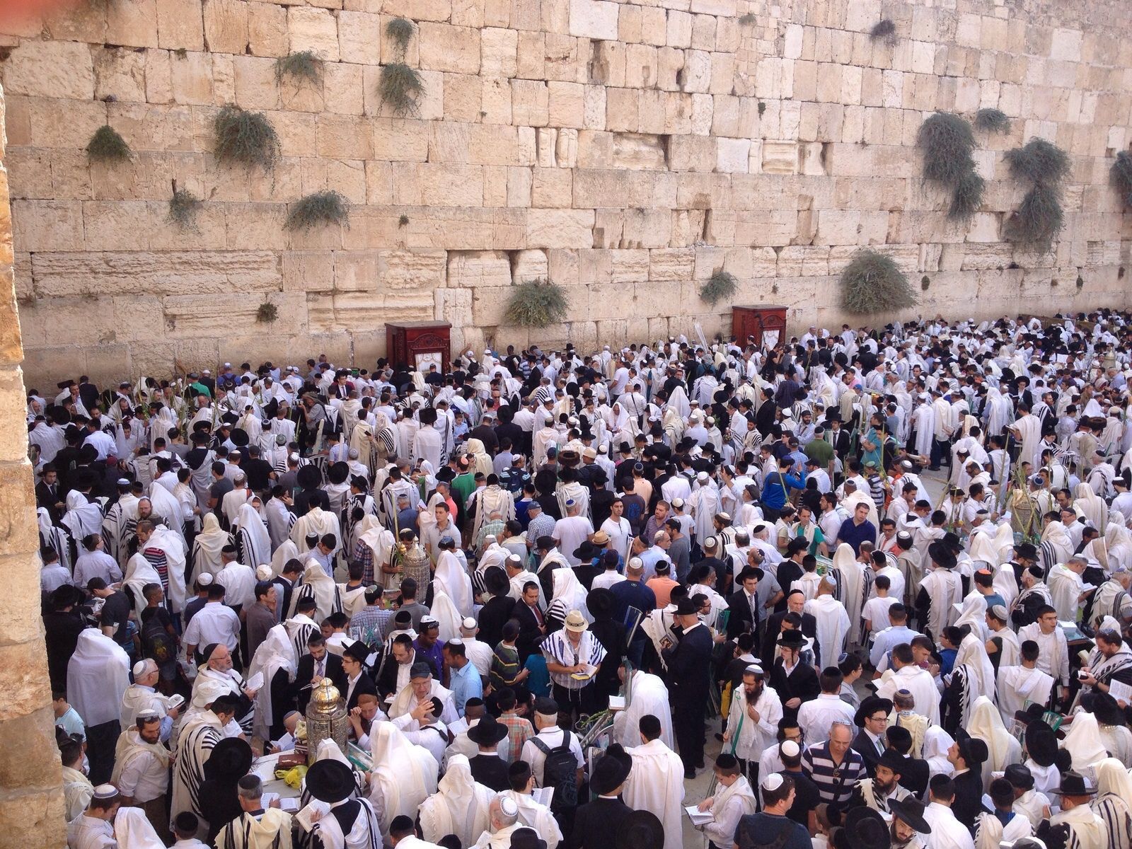 Thousands Of Jews Throng Western Wall For Holiday Blessing - I24NEWS