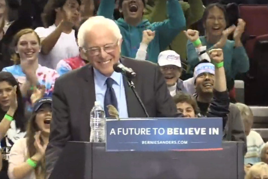 'World Peace' Bird Crashes Bernie Sanders Speech - I24NEWS