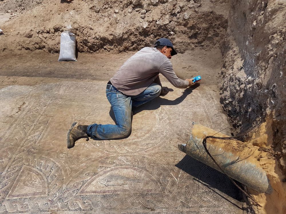 Unique mosaics exhibited at Lod Mosaic Archaeological Center in  Israel-Xinhua