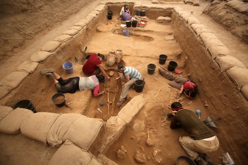 Des archéologues font des fouilles dans un cimetière philistin, sur des ossements du peuple du géant Goliath, à Ashkelon en Israël, le 28 juin 2016
