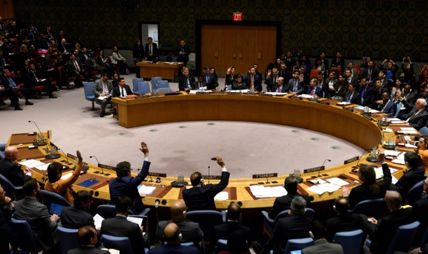 Vote au Conseil de sécurité de l'ONU, le 28 février 2019 à New York