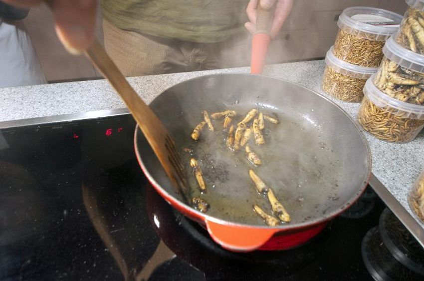Illustration / Un étudiant cuisine des sauterelles lors d'un cours à Sittard, le 24 octobre 2013
