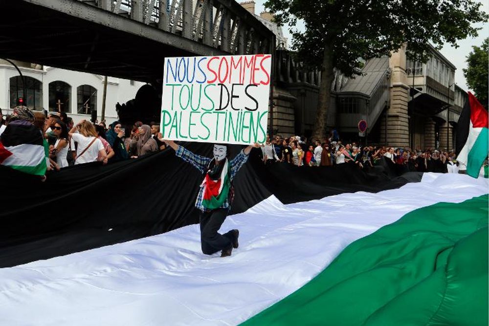 Un manifestant tient une pancarte sur laquelle on peut lire "Nous sommes tous des Palestiniens" lors d'un rassemblement propalestinien interdit par les autorités à Paris, le 19 juillet 2014