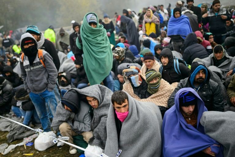 Беженцы из украины в бельгии. Лагеря для беженцев в бельгии. Беженцы в бельгии. Арабы в европе. Миграция в бельгии.