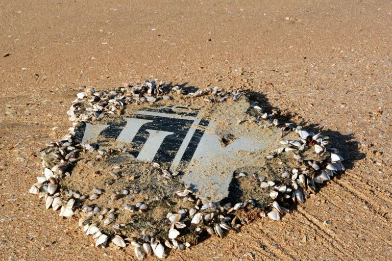 Debris Found In Australia Ruled Out As From MH370 - I24news