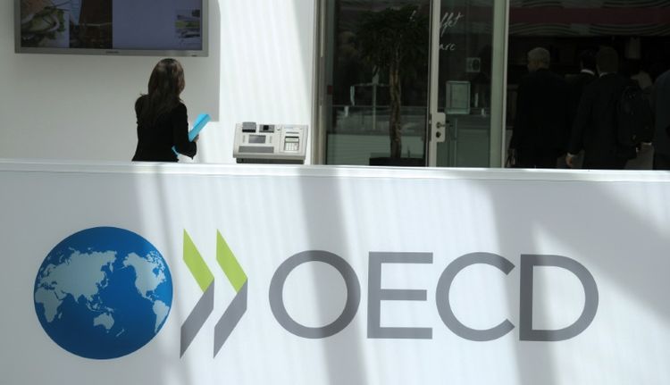 A participant pictured at the OECD headquarters in Paris during the presentation of the Economic Outlook at the 2013 OECD Week on May 29, 2013