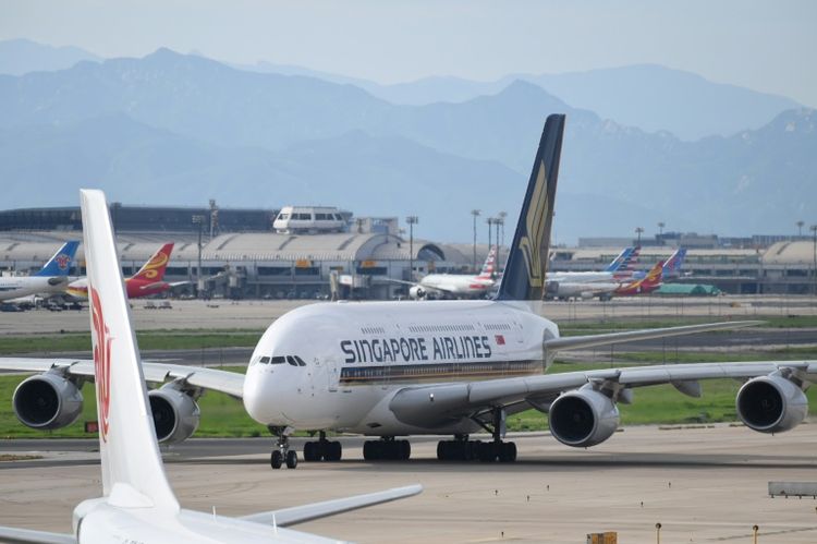 Singapore Airlines confirmed that a customer had found what seemed to be "a foreign object in their meal"