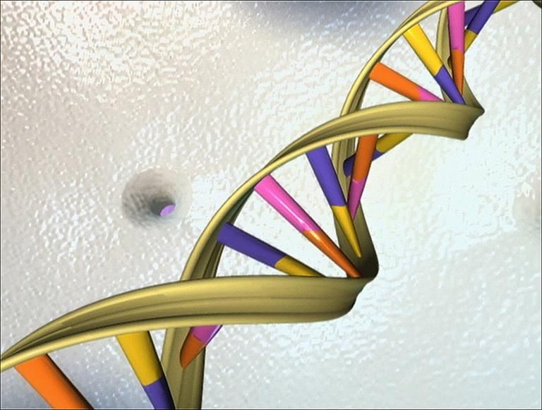 First Ancient Human Genome From Africa Is Sequenced - I24NEWS