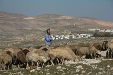 Israël valide un projet de loi visant à légaliser 66 avant-postes en Cisjordanie