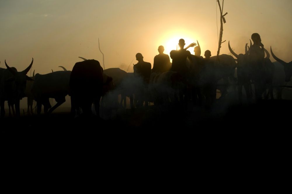 Police ban night grazing, farming and others in Plateau