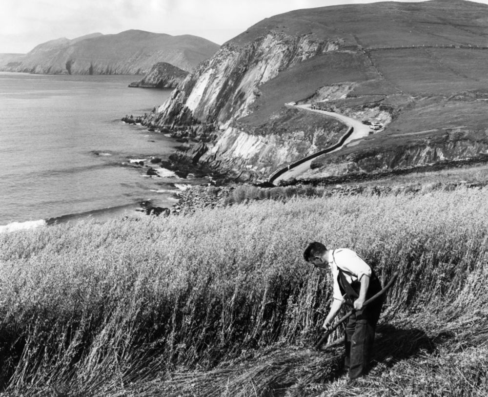 Ireland underwent a massive prehistoric wave of immigration from the Middle East and eastern Europe, which could explain how modern farming arrived in the region, researchers said