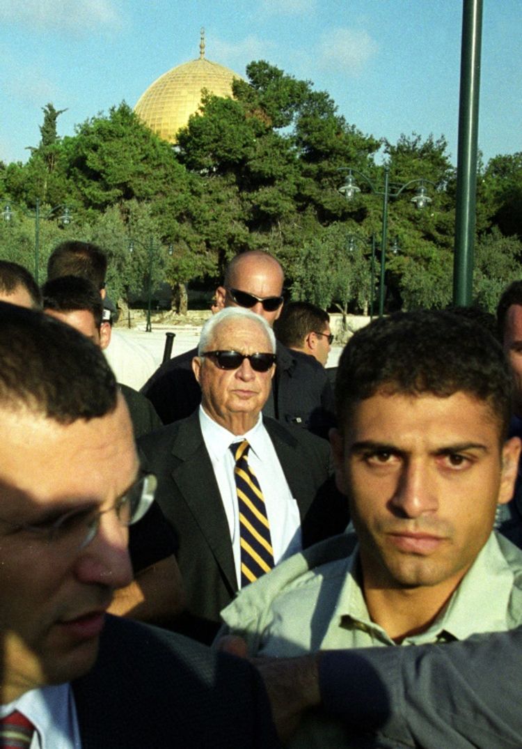 AWAD AWAD (AFP/Archives)