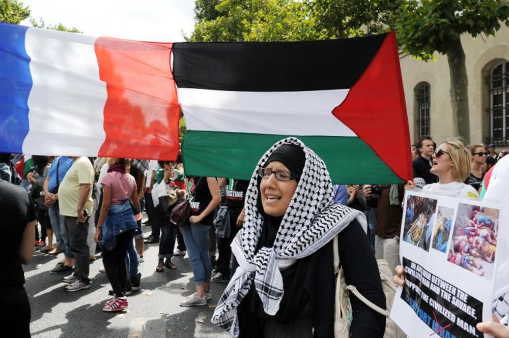 Drapeauphobie : l'escalade de la guerre d'Israël contre le drapeau national  palestinien - Association France Palestine Solidarité