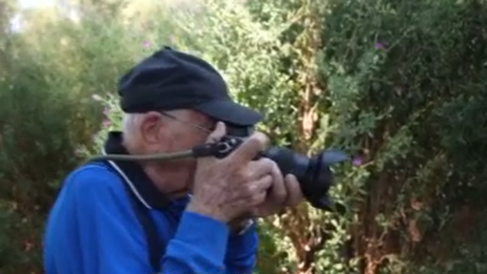 - אזורים כחולים לאריכות ימים: איפה בישראל תוכלו לחיות עד גיל 100?