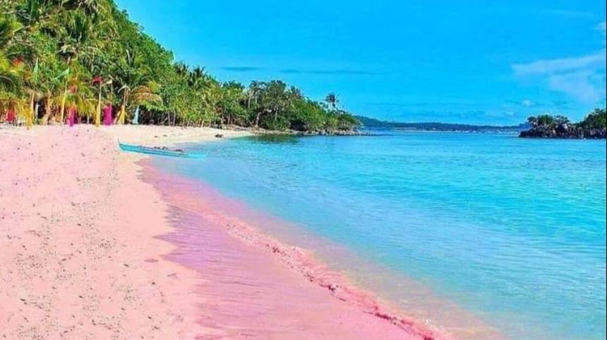 Spécial week-end | Voyage : ces plages roses qui fascinent les touristes à travers le monde