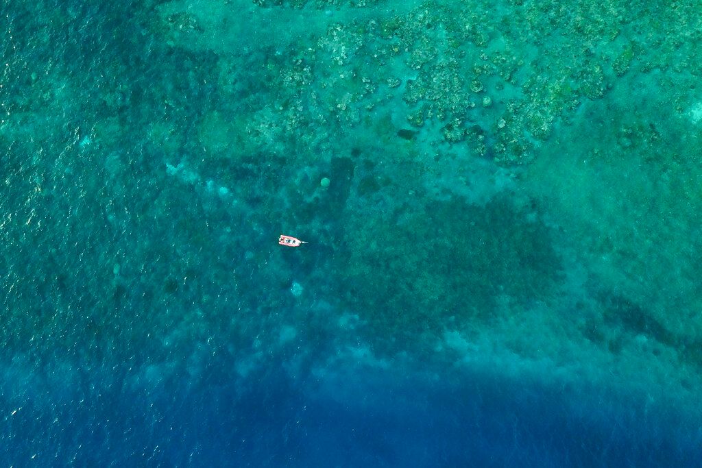 UNESCO Hails $2.9 Billion Plan To Protect Great Barrier Reef - Vimarsana News