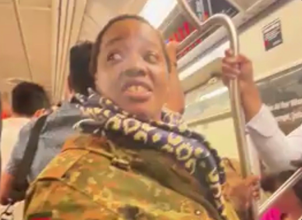 A Bronx resident was arrested after assaulting a young Orthodox Jewish woman on a New York subway train.