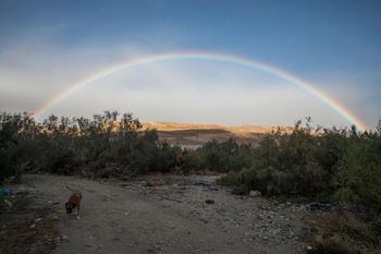 A full rainbow is seen in the sky after a heavy storm, over the desert mountains near the Dead Sea, Southern Israel,