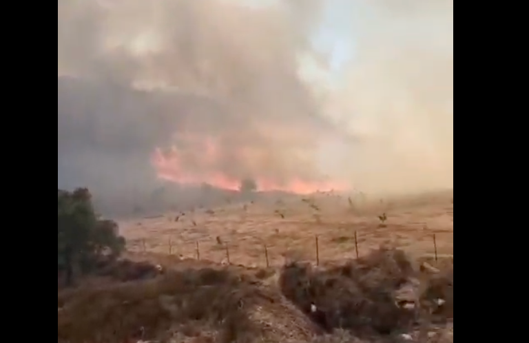 Des incendies en Judée-Samarie et dans le nord d'Israël