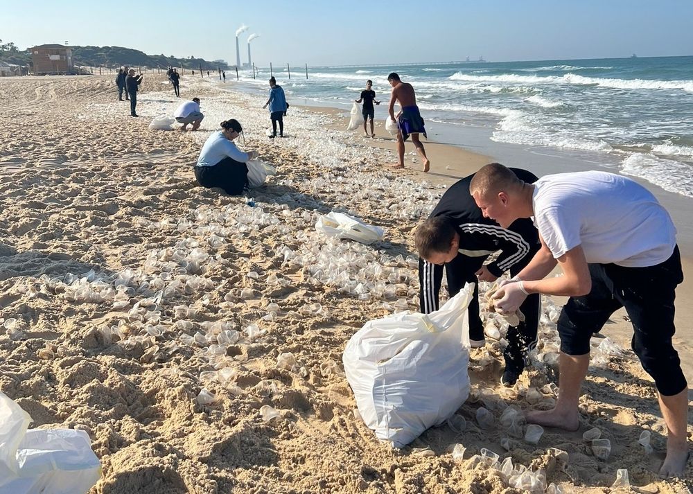 People rush to Israel's Ashkelon beach to retrieve plastic products from stranded containers