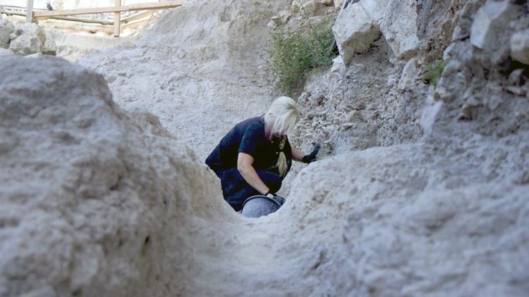 Emil Aladjem/Israel Antiquities Authority