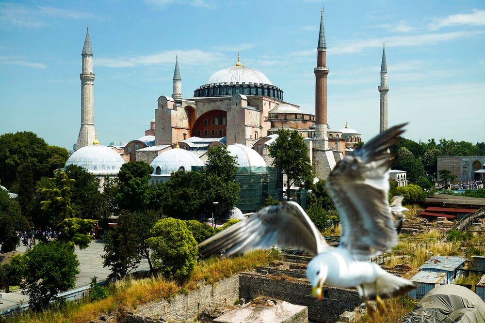 A seagull grabs a bit of cheese from a tourist near the Byzantine-era Hagia Sophia in Istanbul, Turkey, June 25, 2022.