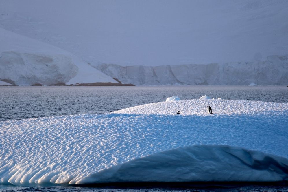 القطب الجنوبي - صورة توضيحية
