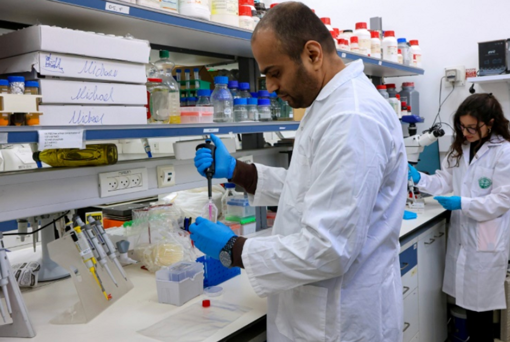 Des chercheurs travaillent dans un laboratoire de l'institut Volcani, à Beit Dagan, près de Tel-Aviv, le 20 mars 2024