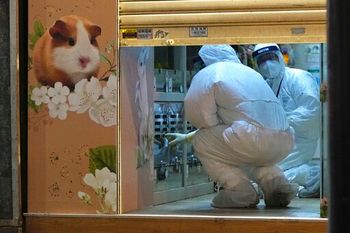Staff members from the Agriculture, Fisheries and Conservation Department investigate a pet shop in Hong Kong, January 18, 2022.