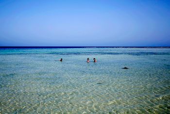 Children play in the Red Sea in Marsa Alam, Egypt


