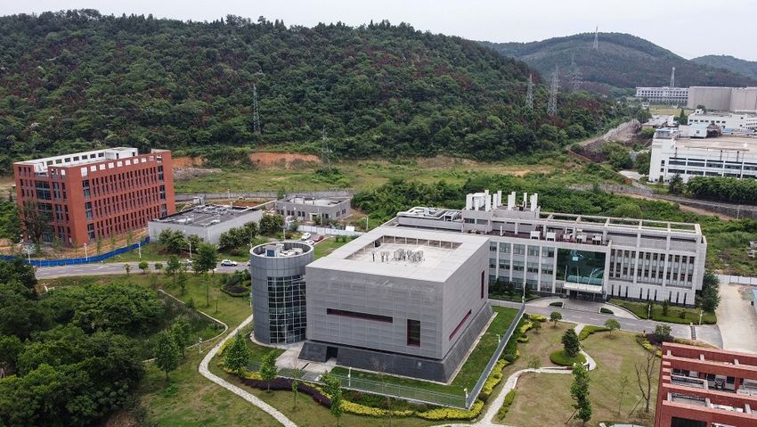I24news Wuhan Lab Director Says Had Three Strains Of Live Bat Coronaviruses
