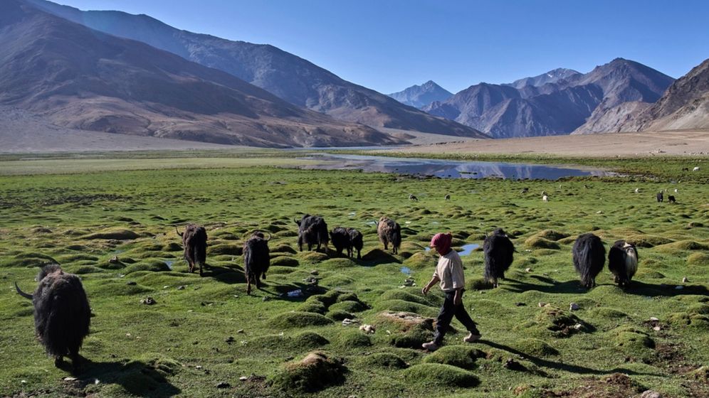 Ladakh, Inde.