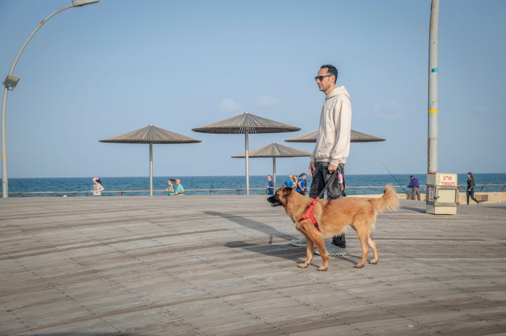 נמל תל אביב ביום קריר ובהיר, ארכיון